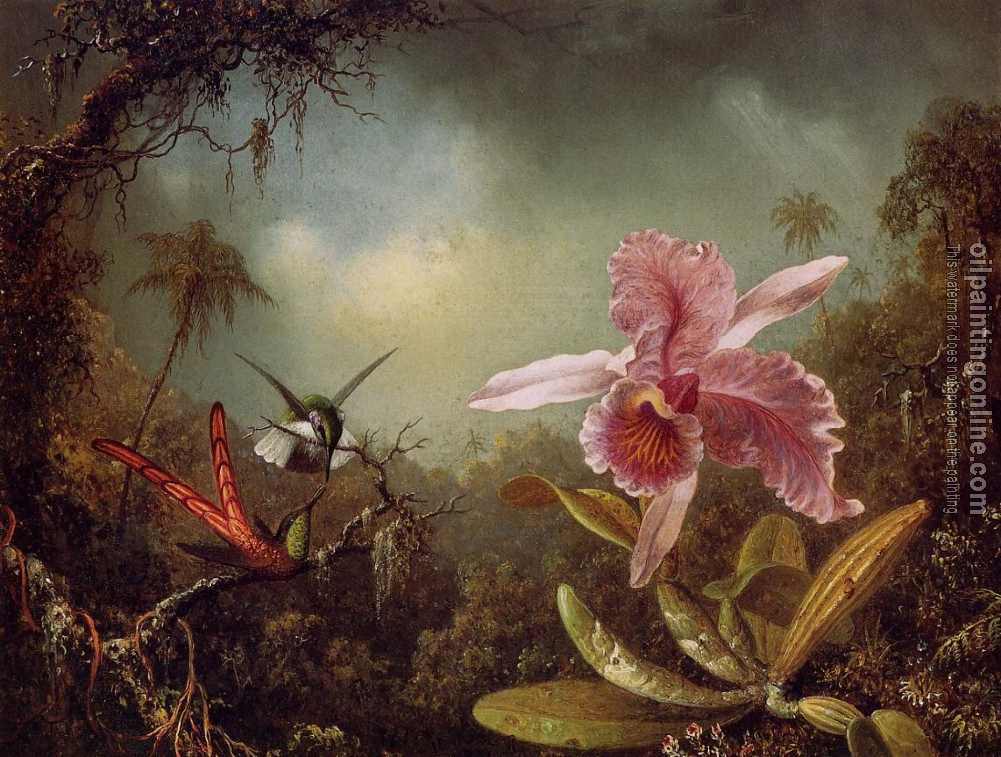 Heade, Martin Johnson - Orchid and Two Hummingbirds